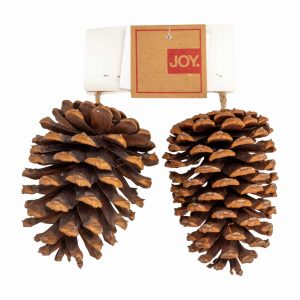 Set Cono De Pino Colgante JOY Unidad