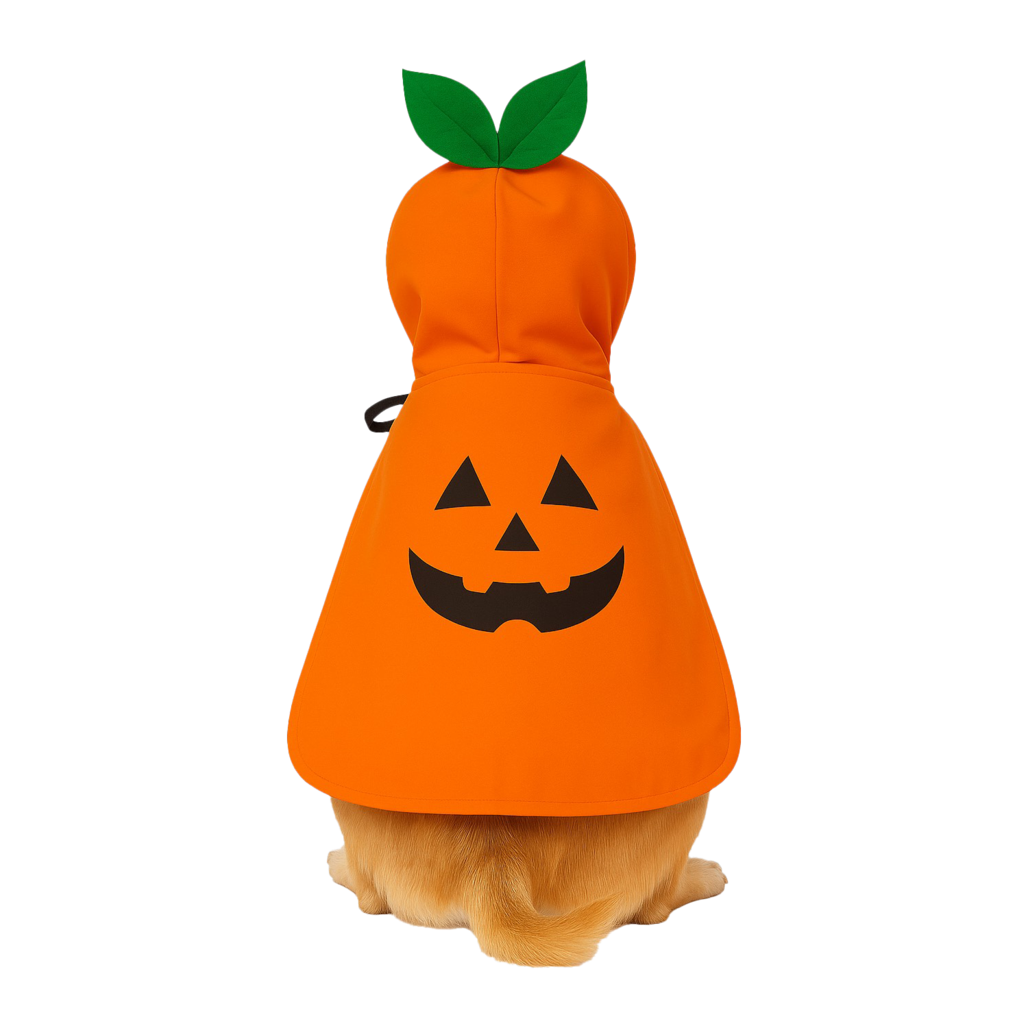 Capa Para Mascota Diseño Calabaza Halloween NENUU Talla Extra Pequeño - Imagen 6