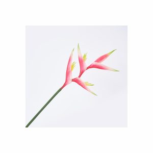 Flor Ave FREE HOME Rojo